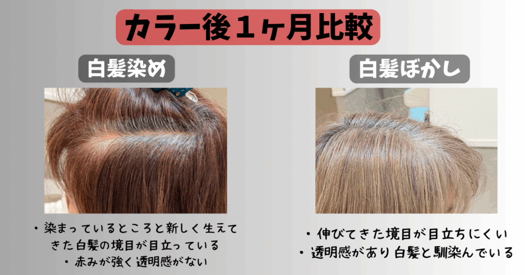 白髪染めと白髪ぼかしの違い