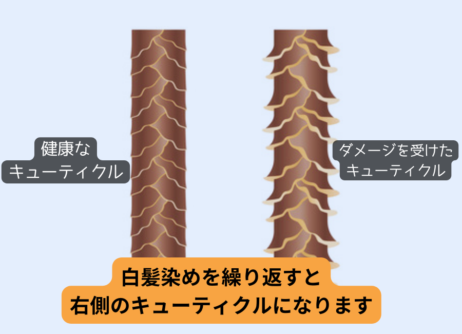 白髪染めのダメージを抑えるには？