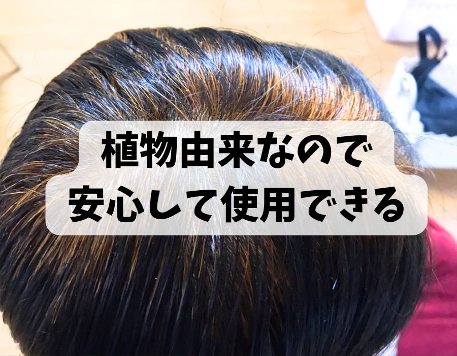 白髪染めもできるヘナカラーとは？