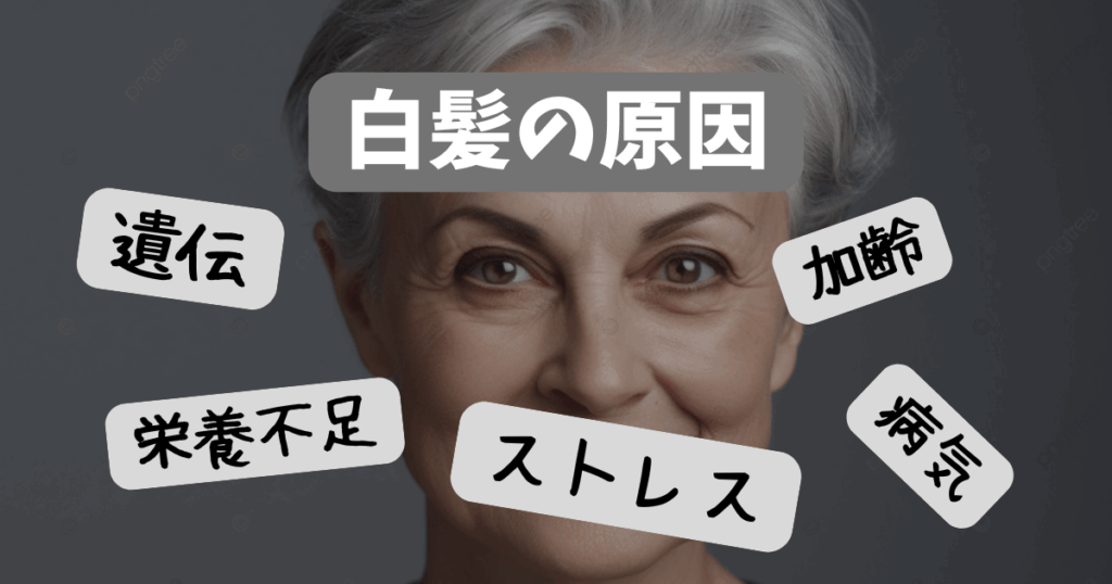 白髪ぼかし　田無
