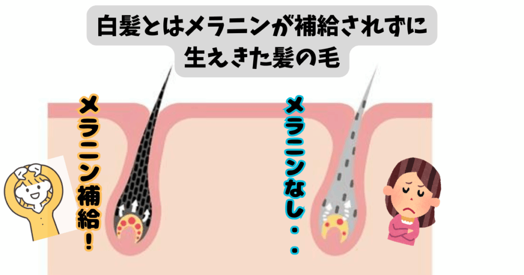 白髪ぼかし　田無