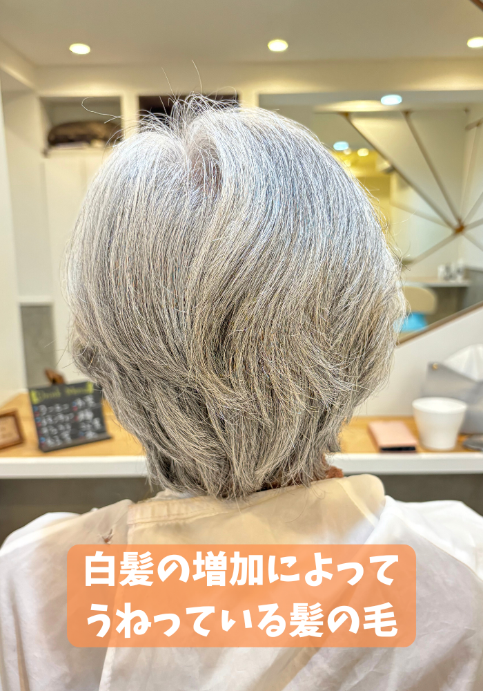 髪のうねりとパサつき
