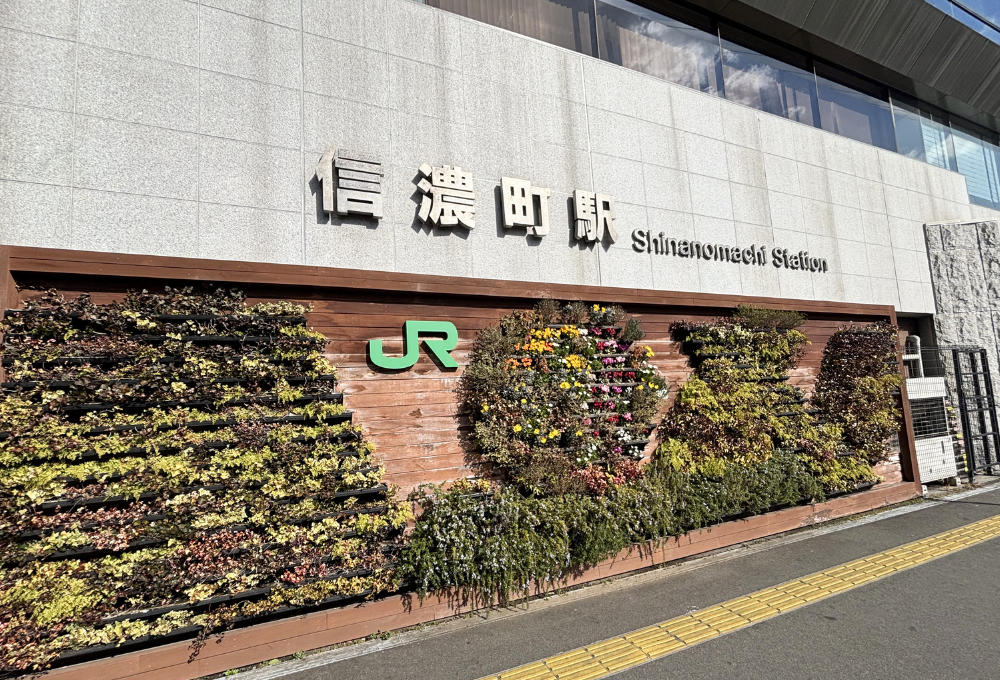 白髪ぼかし　信濃町